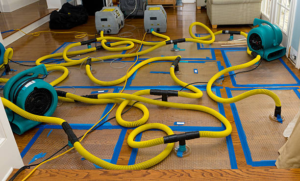 Professional Crawl Space Water Removal technician working in Springfield, OR